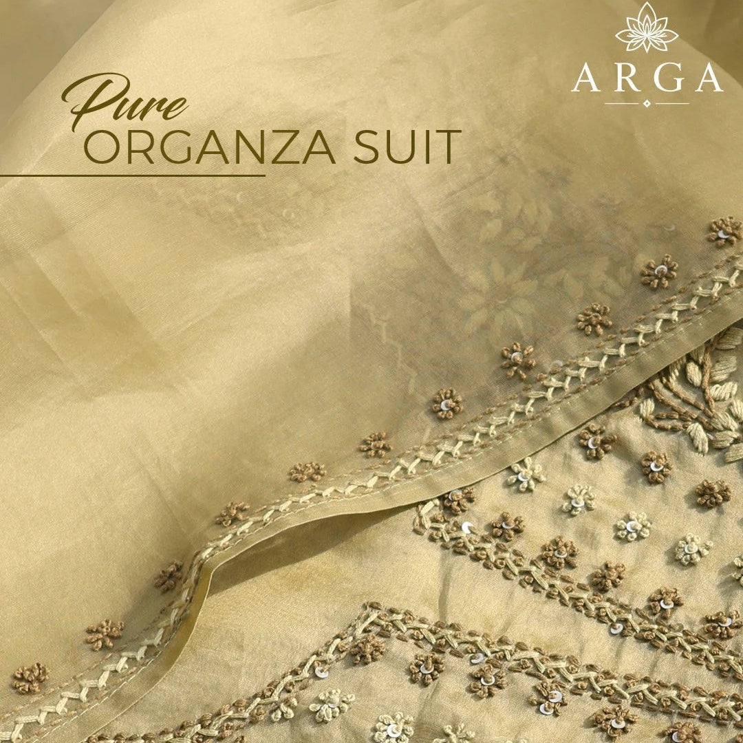 Zareen Mist Pure Organza Suit Set