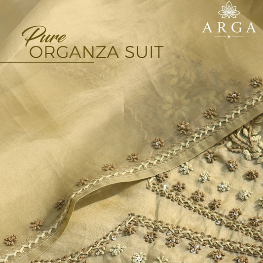 Zareen Mist Pure Organza Suit Set